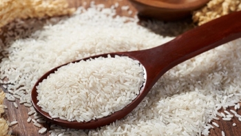 Cập nhật giá gạo hôm nay 23/12: Bật tăng trở lại