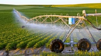 Kéo dài thời hạn thực hiện hạng đất tính thuế sử dụng đất nông nghiệp