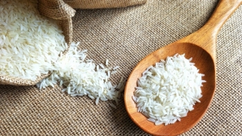 Cập nhật giá gạo hôm nay 25/12: Tiếp đà tăng