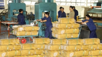 Ảnh hưởng dịch COVID-19, xuất khẩu cao su sang các thị trường giảm