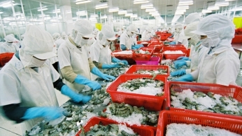 Doanh nghiệp thủy sản cần lên kịch bản ứng phó thiếu container rỗng