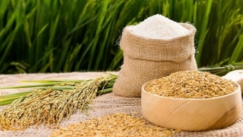 Cập nhật giá gạo chiều nay 31/12: Giữ giá