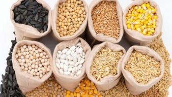 11 tháng, xuất khẩu thức ăn chăn nuôi tăng 14%