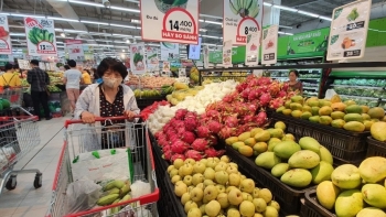 Tổng mức bán lẻ hàng hóa và doanh thu dịch vụ tiêu dùng tháng 11/2020 tăng 2,3%