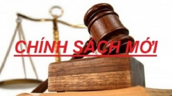 Những chính sách mới có hiệu lực từ tháng 12/2021