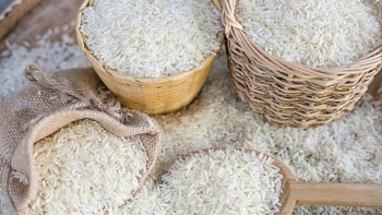 Cập nhật giá lúa gạo hôm nay 02/12/2021: Duy trì ổn định