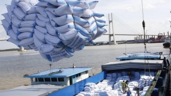 Australia ưu tiên nhập khẩu gạo từ Việt Nam với số lượng lớn