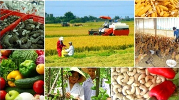 Xuất khẩu nông sản về đích sớm, vượt 1,5 tỷ USD chỉ tiêu Chính phủ giao