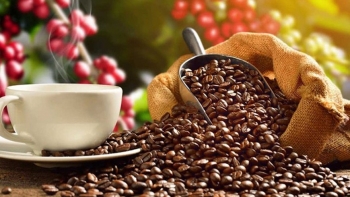 Cập nhật giá cà phê hôm nay 5/12/2021: Một tuần tăng mạnh