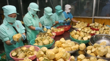 Cơ hội xuất khẩu hàng rau quả chế biến sang Hoa Kỳ rất lớn