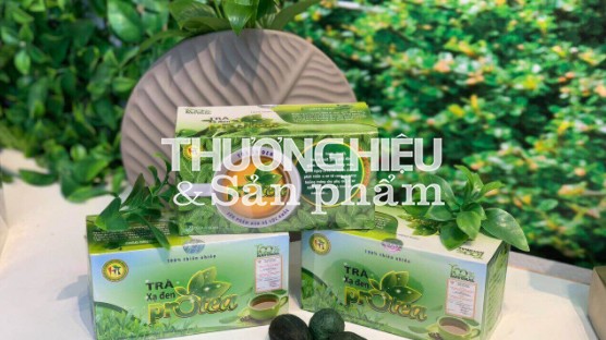 Cẩn trọng trước thông tin quảng cáo sản phẩm TPBVSK Trà xạ đen Protea