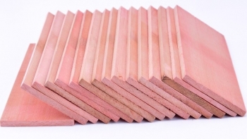 Doanh nghiệp Bungari cần tìm nhà sản xuất để cung cấp phôi gỗ