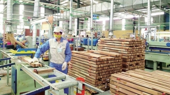 Chuyển đổi số ngành gỗ: Vì sao doanh nghiệp còn dè dặt?