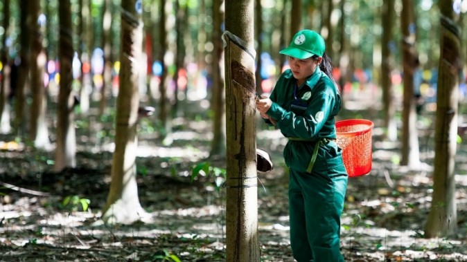 Xuất khẩu cao su thiên nhiên của Việt Nam đạt 1,7 triệu tấn