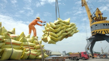 Xuất khẩu gạo 11 tháng năm 2021 đạt gần 5,75 triệu tấn