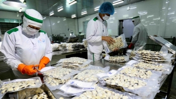 Xuất khẩu nhuyển thể hai mảnh vỏ sang EU tăng mạnh