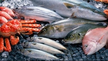 Nhập khẩu thủy sản đạt 170,67 triệu USD trong tháng 11/2021