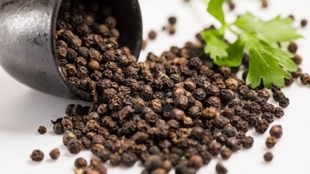 Hồ tiêu là điểm sáng trong hoạt động xuất khẩu nông, lâm, thủy sản