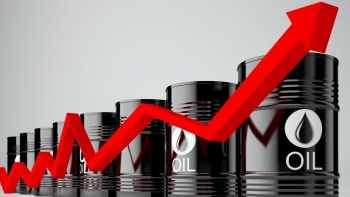 Cập nhật giá xăng dầu hôm nay 22/12/2021: Tăng vọt nhờ kỳ vọng nhu cầu gia tăng