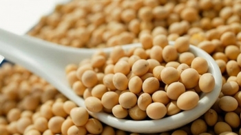 Nhập khẩu đậu tương 11 tháng năm 2021 đạt trên 1,06 tỷ USD