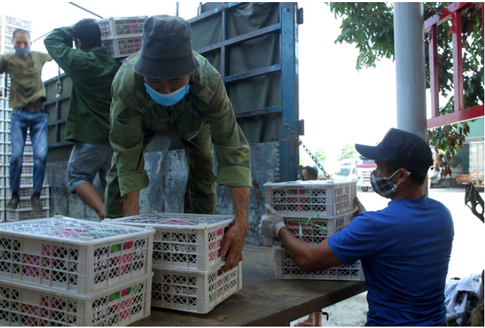 Tiếp tục chuyển nhanh, chuyển mạnh hoạt động xuất khẩu sang thị trường Trung Quốc theo hình thức chính ngạch