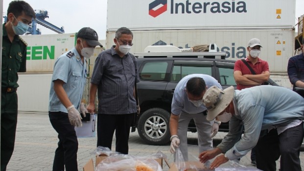 Gần 90kg xương hổ, báo ngụy trang trong lô hàng sò huyết đông lạnh nhập khẩu