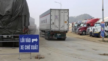 Lạng Sơn giảm nhiều loại phí khu vực cửa khẩu Tân Thanh