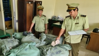 Tiền Giang: Tạm giữ 900 kg hàng may mặc có dấu hiệu nhập lậu