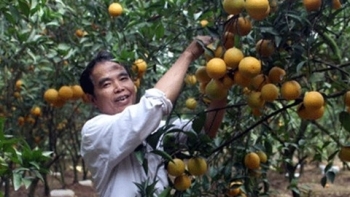 Hà Nội: Thêm 5 đơn vị được sử dụng địa danh địa phương đăng ký bảo hộ nhãn hiệu tập thể