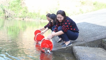 Hà Tĩnh: Thả 8,6 tấn cá giống tái tạo và phát triển nguồn lợi thuỷ sản trong năm 2020