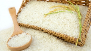 Cập nhật giá gạo hôm nay 4/1: Gạo xuất khẩu lập kỷ lục mới