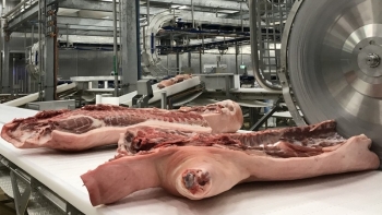 Giá thịt lợn hôm nay 5/1: Xuất hiện mức tăng tại Công ty Thực phẩm bán lẻ