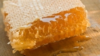 Yên Bái: Mật ong Mù Cang Chải được bảo hộ chỉ dẫn địa lý