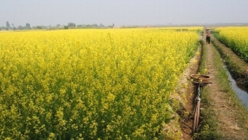 Năm 2020, Bắc Ninh đón hơn 1,1 triệu lượt khách du lịch