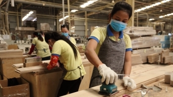 Năm 2021, xuất khẩu gỗ và lâm sản phấn đấu mục tiêu 14 tỷ USD