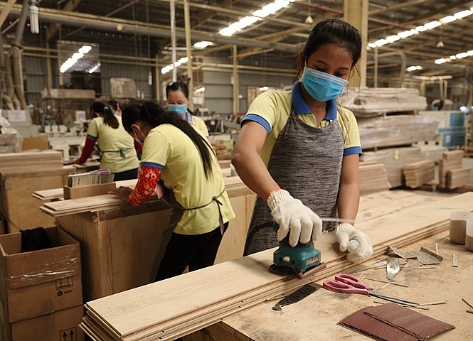 Năm 2021, ngành lâm nghiệp phấn đấu kim ngạch xuất khẩu đạt 14 tỷ USD