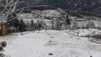 Lào Cai: Khẩn trương khắc phục hậu quả do rét đậm, rét hại trên địa bàn