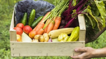 Giá rau củ quả hôm nay 12/1: Tiếp tục có khuyến mãi