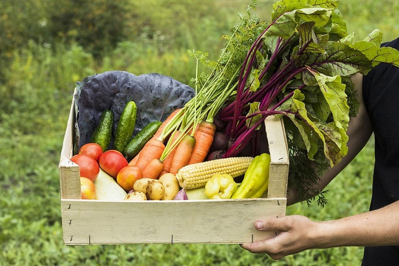 Giá rau củ quả hôm nay 12/1 tiếp tục có khuyến mãi