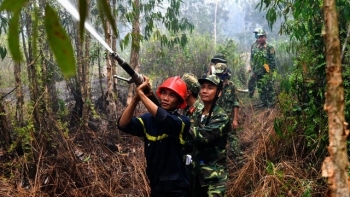Kiên Giang: Thực hiện chính sách chi trả dịch vụ môi trường rừng