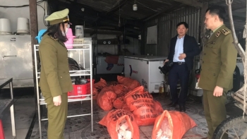 Hà Tĩnh: Phát hiện, tiêu hủy gần 500kg mỡ động vật không rõ nguồn gốc, xuất xứ