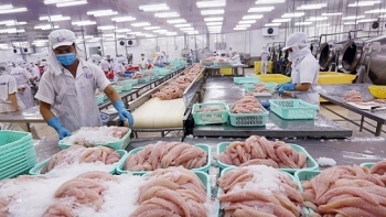 Năm 2020, xuất khẩu sang các thị trường chính tăng trưởng tích cực