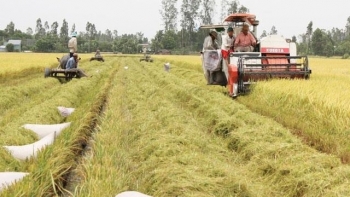 Đồng Tháp: Xây dựng mô hình sản xuất 500 ha lúa tại Hợp tác xã Mỹ Đông 2