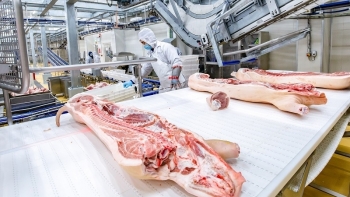 Giá thịt lợn hôm nay 18/1: Đầu tuần ổn định