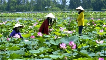 Nhiều hoạt động hấp dẫn tại Tuần lễ Văn hóa Du lịch Đồng Tháp  năm 2021