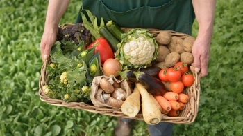 Giá rau củ quả hôm nay 21/1: Có nhiều ưu đãi đa dạng