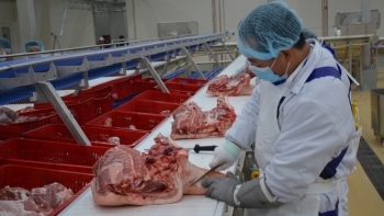 Giá thịt lợn hôm nay 21/1: Không có điều chỉnh mới