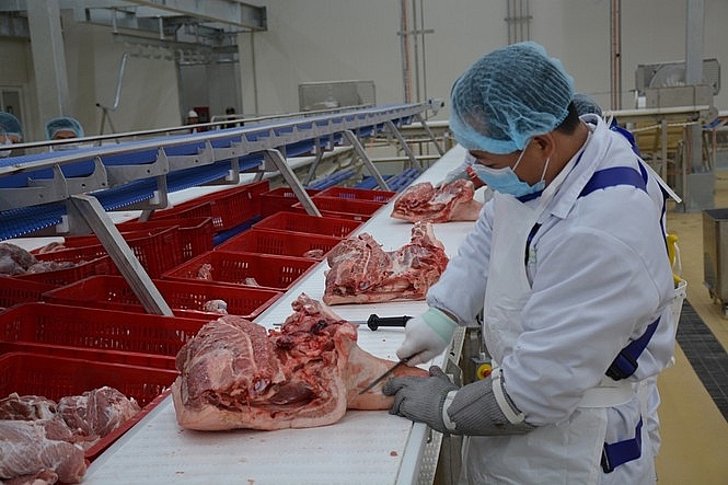 Giá thịt lợn hôm nay 21/1 không có điều chỉnh mới Giá thịt lợn hôm nay 21/1 không có điều chỉnh mới