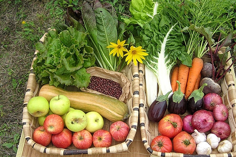 Các siêu thị tăng cường khuyến mãi nhiều sản phẩm phục vụ thị trường giáp Tết Các siêu thị tăng cường khuyến mãi nhiều sản phẩm phục vụ thị trường giáp Tết