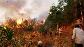 Hà Nội: Tăng cường công tác phòng, chống cháy nổ, cháy rừng